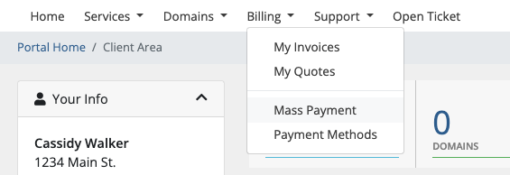 Going to Billing > Mass Payment in the Client Area