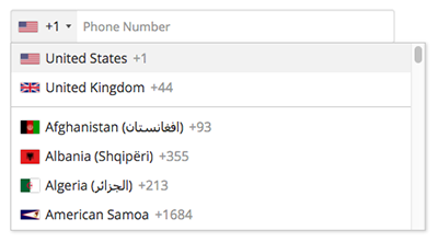 Entering international phone numbers in the Summary tab