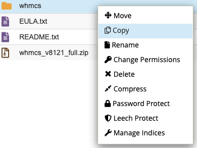 Copy folder in the File Manager interface.